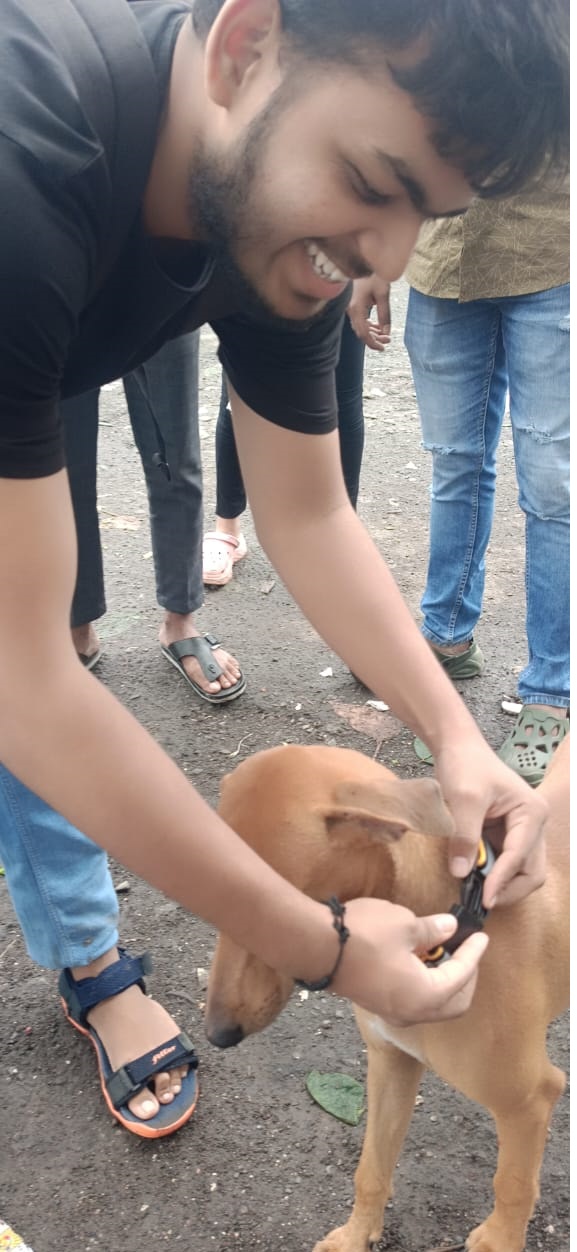 Animal Feeding Campaign 3